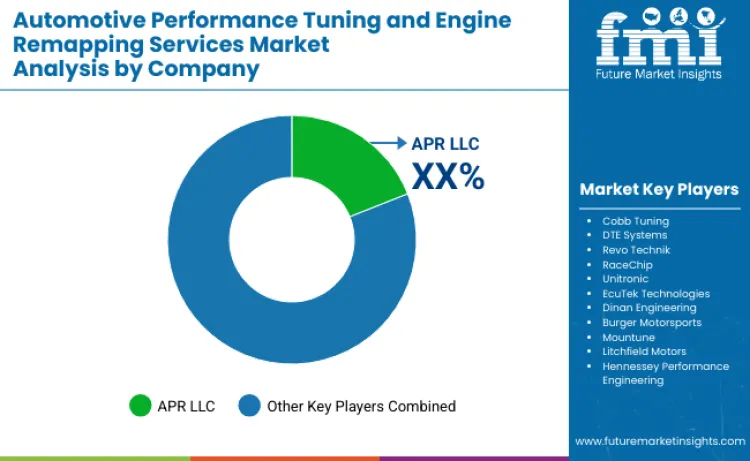 Fine-Tuning Market Outlook