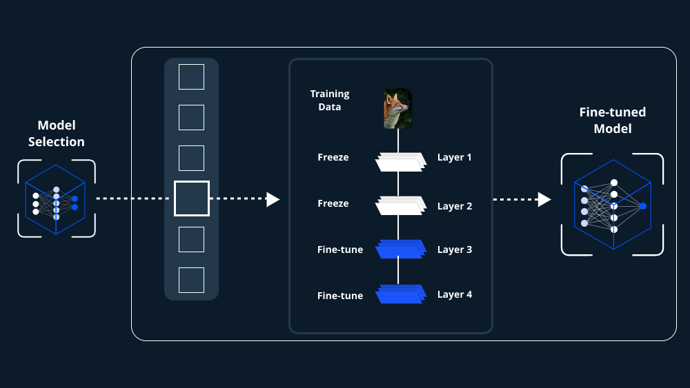 fine-tuning LLMs