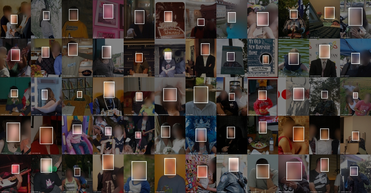 dataset diversity visualization